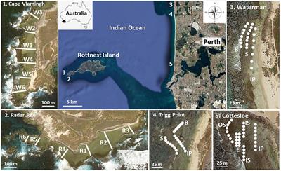 Responses of intertidal invertebrates to rising sea surface temperatures in the southeastern Indian Ocean